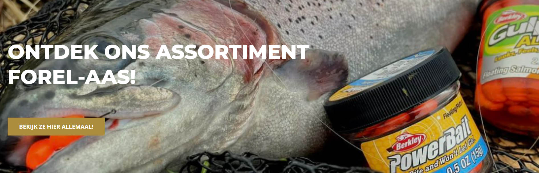 Hengelsport Winkel -Hengelsport Winkel dfgdfgh