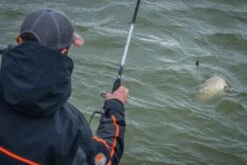 Guru A-Class Method Feeder -Hengelsport Winkel guru a class method feeders 4