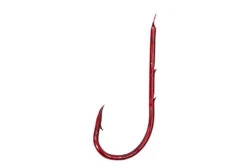 Worm 45cm -Hengelsport Winkel worm 45cm 5